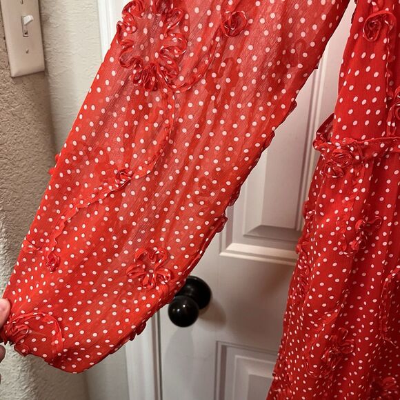Sunday in Brooklyn Floral Polka Dot Maxi Dress Women Size M Textured Button Red - Picture 5 of 12